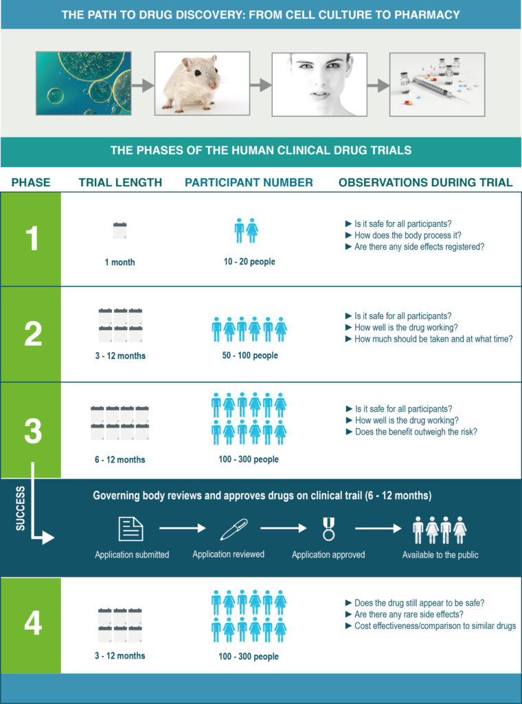 Drug Discovery Path to drug discovery